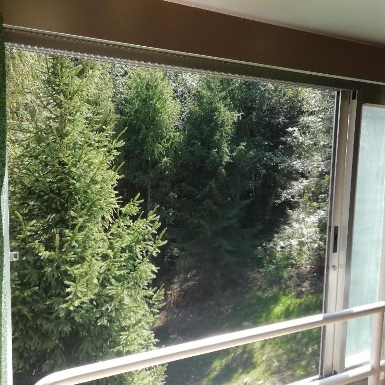 Vetrate sul bosco - Apartment mit 1 Schlafzimmer - 10