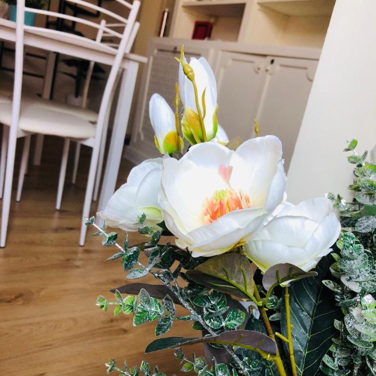 Casa Pulvirenti Catania - Two-Bedroom Apartment - 27