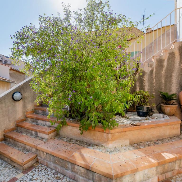 Rose d'Eden par Dodo-a-Cassis - Appartement - Vue sur Mer - 18