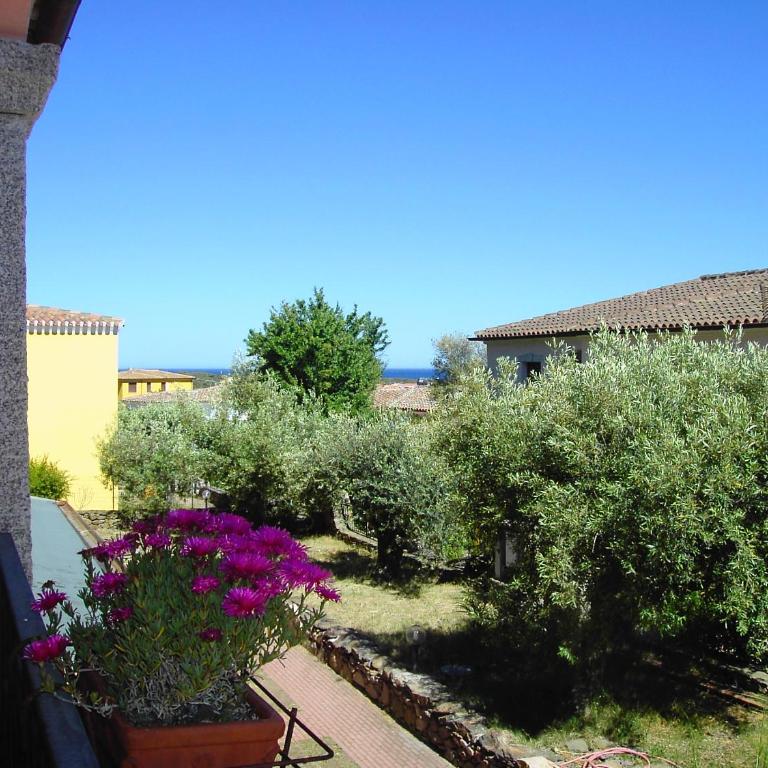 Gli Ulivi - Appartamento con Vista Giardino - 21