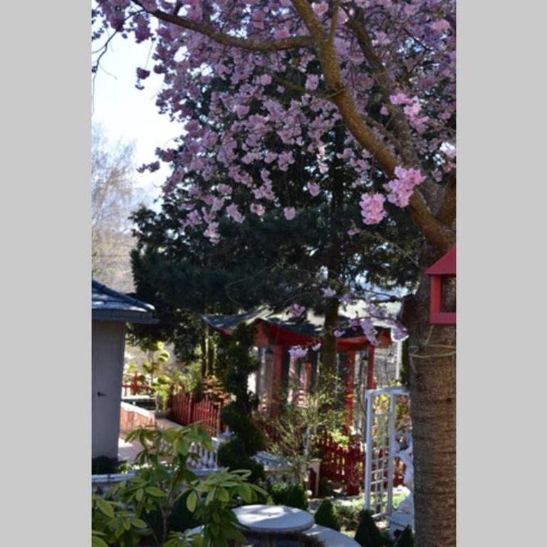 Gîte Au printemps Japonais, petit train de la Mure, parc des Ecrins - Maison 2 Chambres - 75