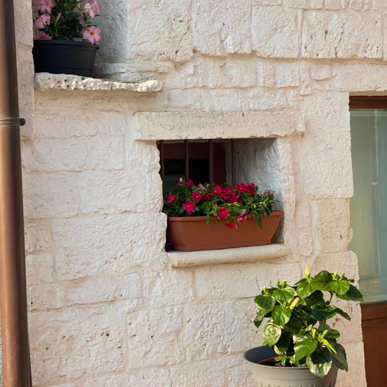 Trullo il cantastorie - Luxury Quadruple Room - 9