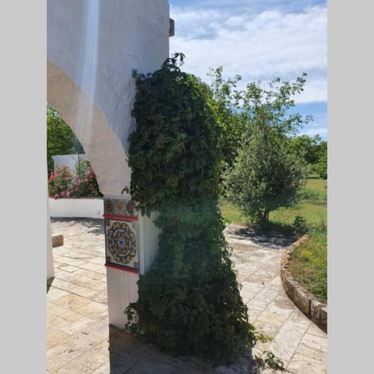 Trulli Relax a Martina Franca - Casa Vacanze - 42