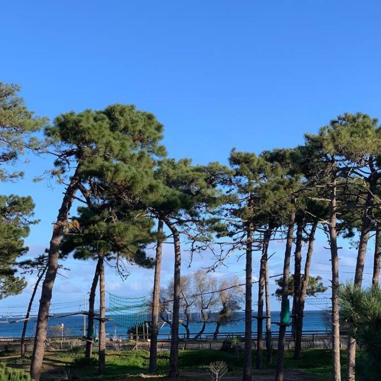 Appartement neuf sur Plage de Calvi Vue Mer - Appartement 2 Chambres - 4