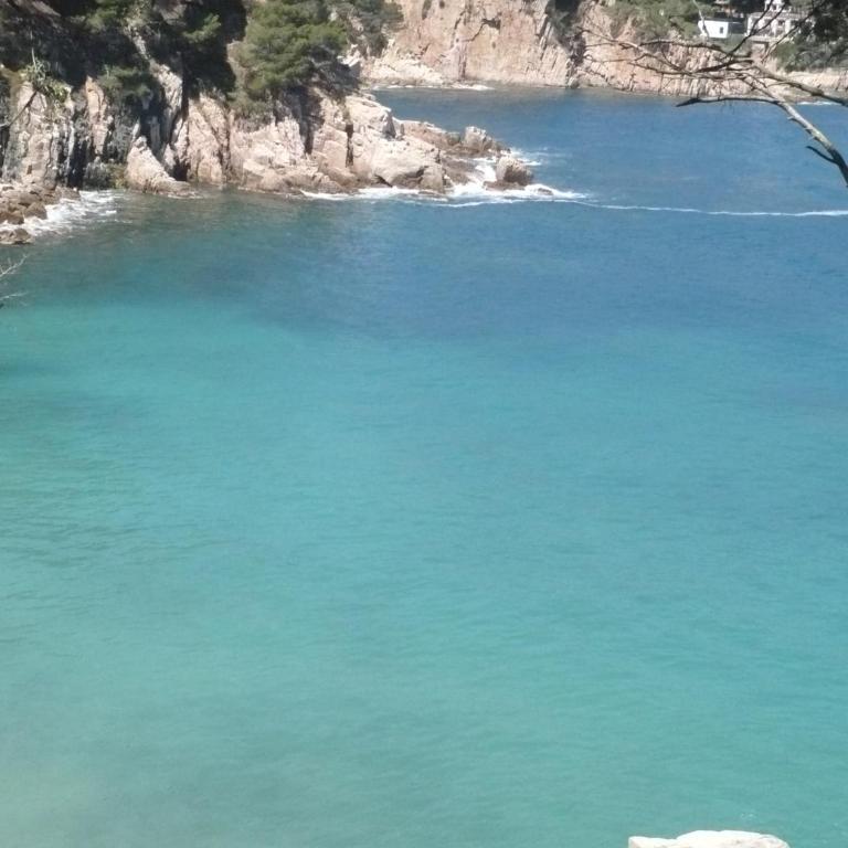 BRAVAHOLIDAYS-320-Condal - Apartamento - 37
