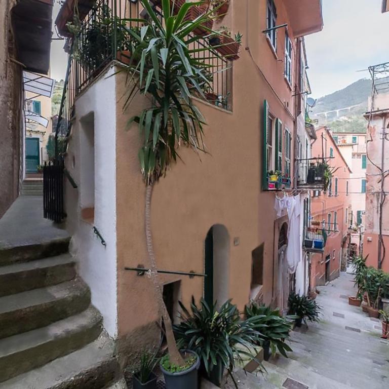 Monterosso al Mare 20 - Appartamento Monolocale - 16