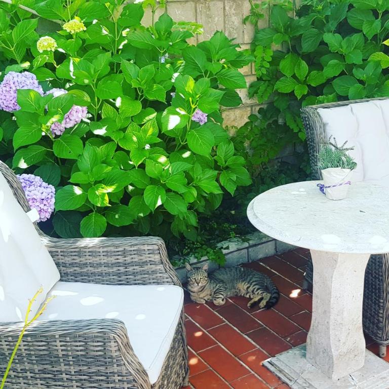 Apartman Taraca Villa Knezevic - Apartment with Garden View - 15