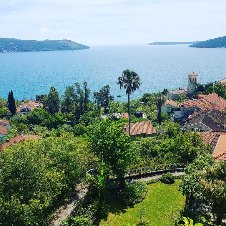 Apartman Taraca Villa Knezevic - Apartment with Garden View - 3