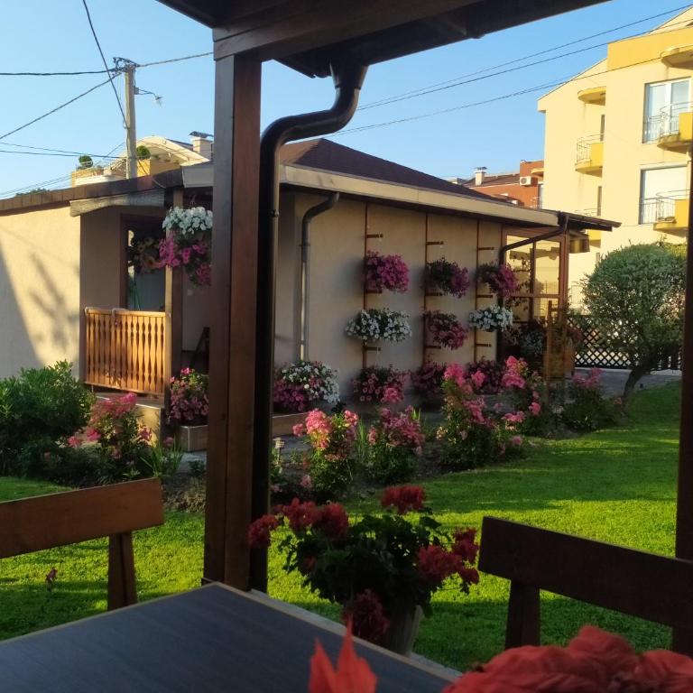 Apartmani Neca - One-Bedroom Apartment - 1