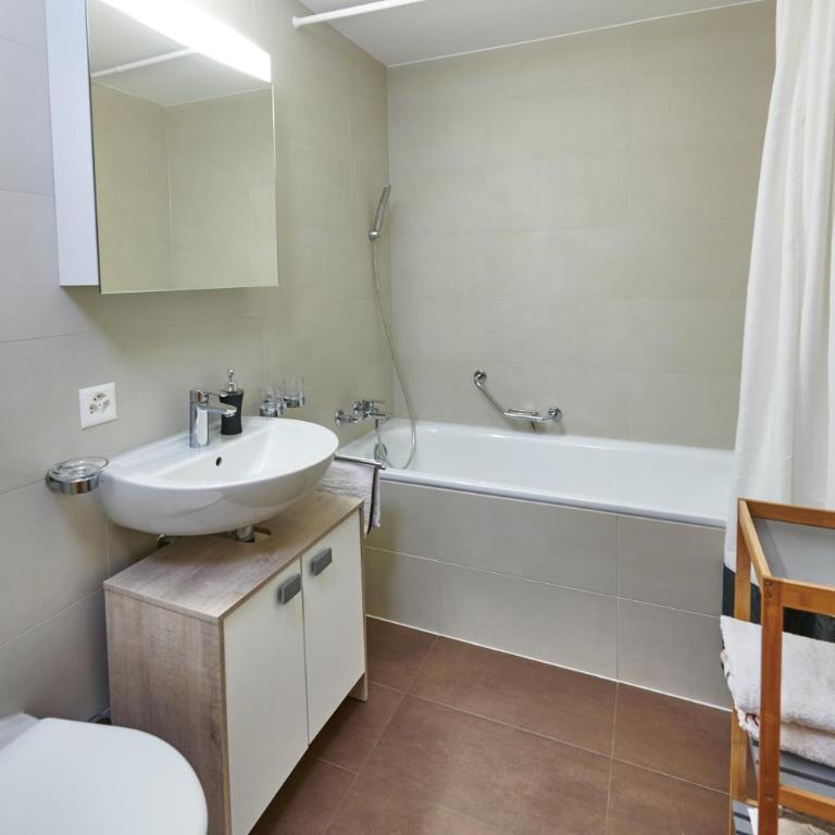Magnifique appartement aux Diablerets avec vue imprenable - Apartment mit 1 Schlafzimmer - 8