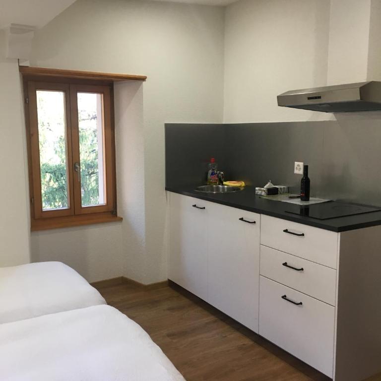 La Dent-du-Midi Hôtel & Restaurant - Studio - 2