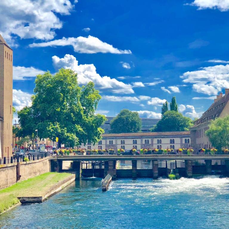 Cosy & quiet flat in historical lively center of Strasbourg - One-Bedroom Apartment - 34