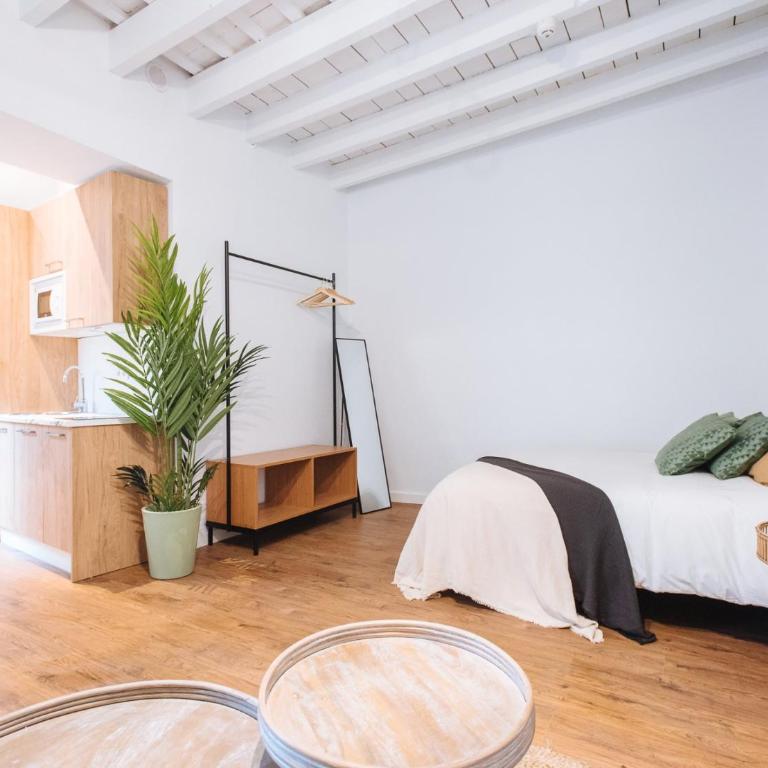 Lola de Triana Apartments - Apartamento Estudio - 1