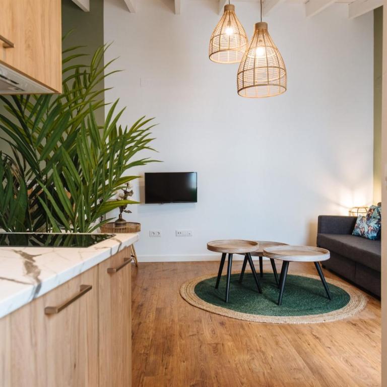 Lola de Triana Apartments - Apartamento Estudio - 4