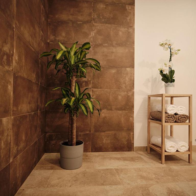 SEE Moment Appartements ADULTS ONLY - Apartment mit Seeblick - 15