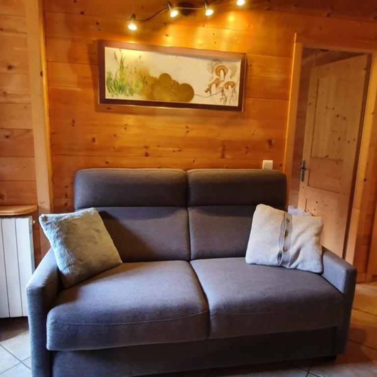 Bienvenue dans notre chalet! Appartement Les Sitelles - One-Bedroom Apartment - 5