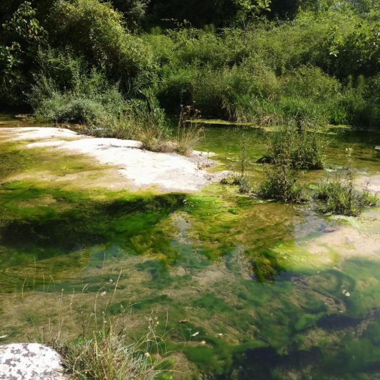 la finestra sul cortile da Alberto - Appartamento - 17