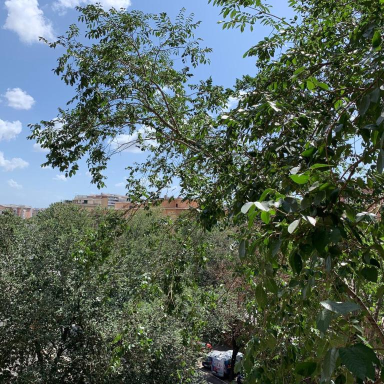 SmooRoomS Trastevere - Camera Queen con Balcone - 19