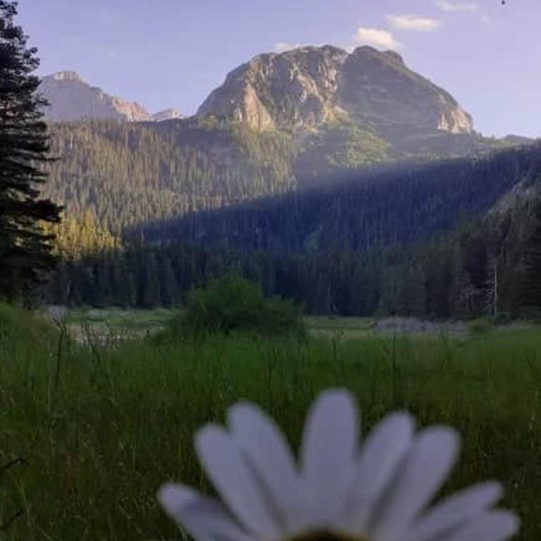 Rooms Apartment Durmitor - Three-Bedroom Apartment - 6