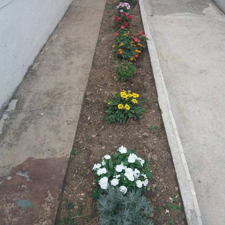 Apartments Radulovic - Apartman sa Terasom - 19
