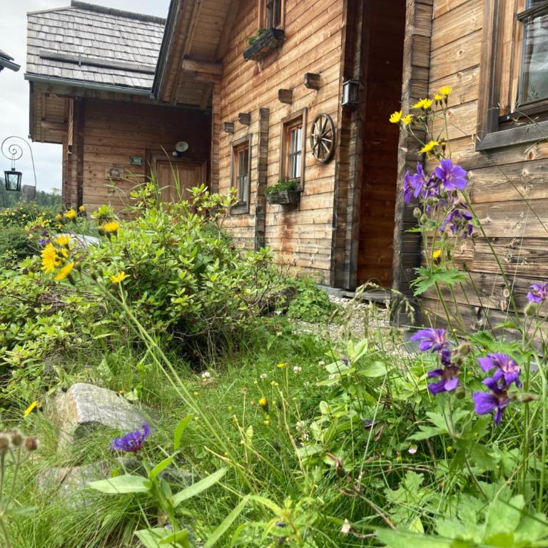 Berg Chalet 303 - Maison 2 Chambres - 1