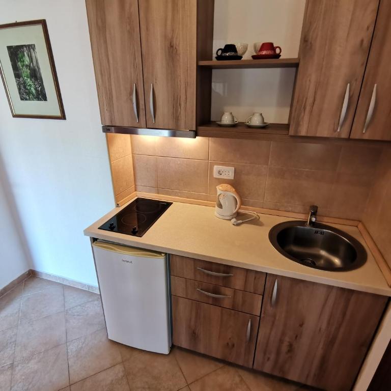 Apartments Abramovic - Standardna Dvokrevetna Soba s Bračnim Krevetom - 8