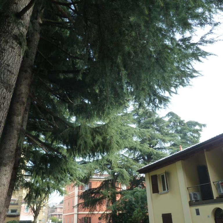 IL GIARDINETTO - Smart working - Airport - Private Parking - Private garden - Ducati - Philip Morris - Appartamento con Vista Giardino - 2