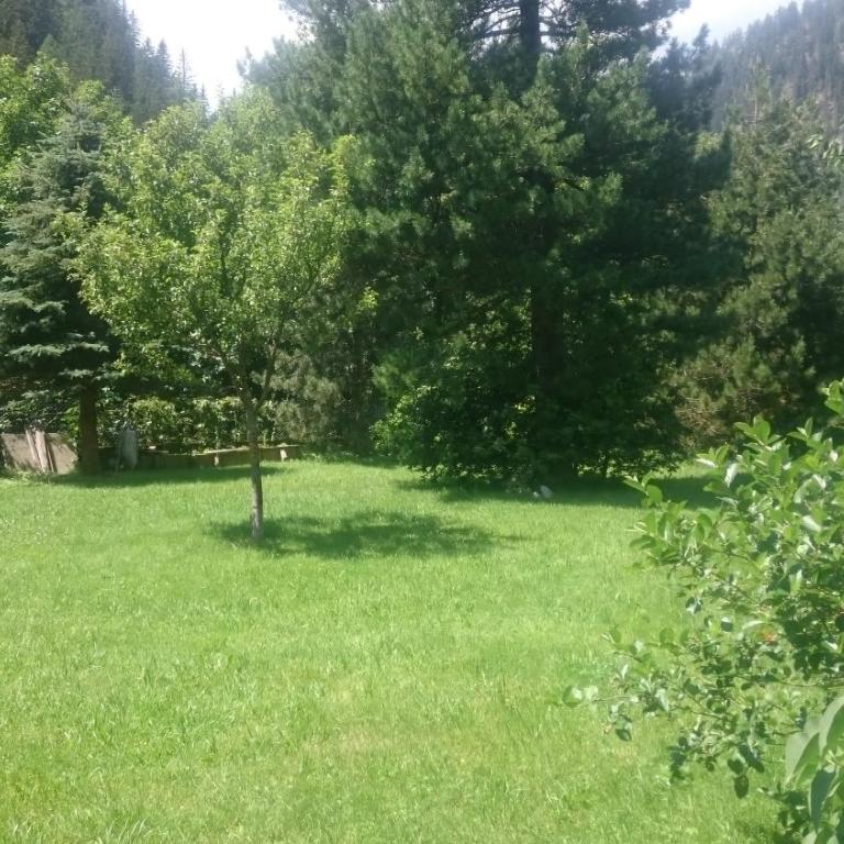 Parkvilla Mallnitz - Apartment mit Terrasse - 16