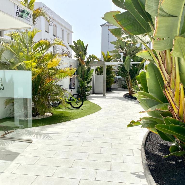 Casa Perla - Cozy Apartment Pool Side - Apartamento - 28