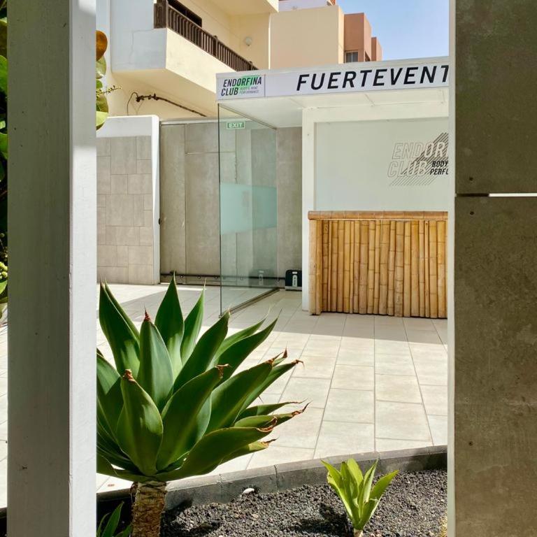 Casa Perla - Cozy Apartment Pool Side - Apartamento - 30