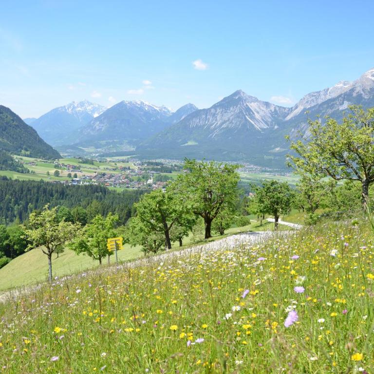 Hotel & Alpengasthof Pinzgerhof - Deluxe Dreibettzimmer mit Balkon - 1