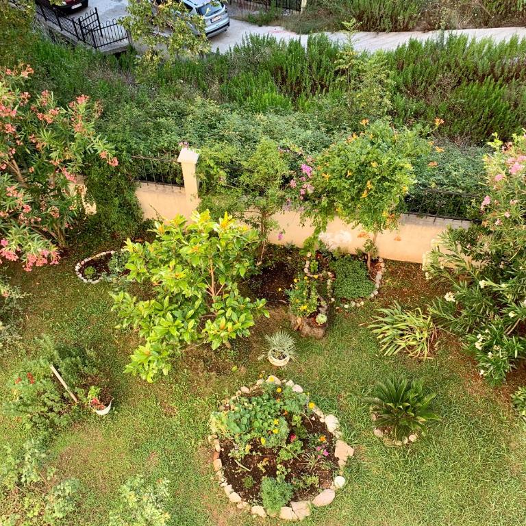 Sunny Apartment Petrovac - Two-Bedroom Apartment - 12