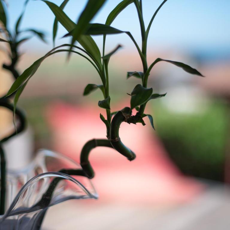 Relax al Porto - 180 degrees of exciting Garda lake views - Villa con 2 Camere da Letto - 28