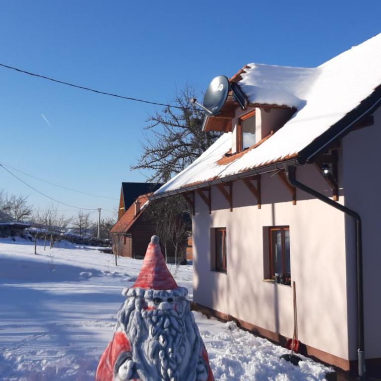 Kuća za odmor Ravna planina - Two-Bedroom House - 3