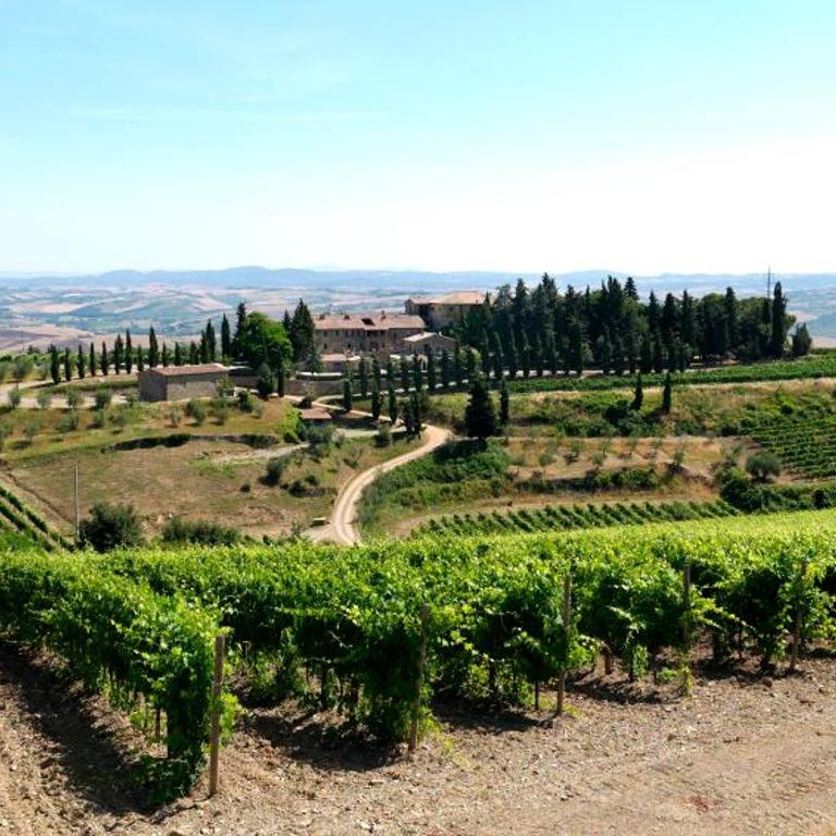 Colle al Matrichese - Historic Winery - Casa con 2 Camere da Letto - 4