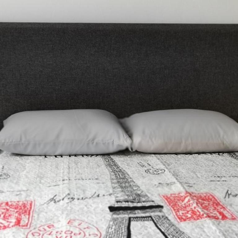 Dahlia House in Querétaro City - Three-Bedroom House - 24