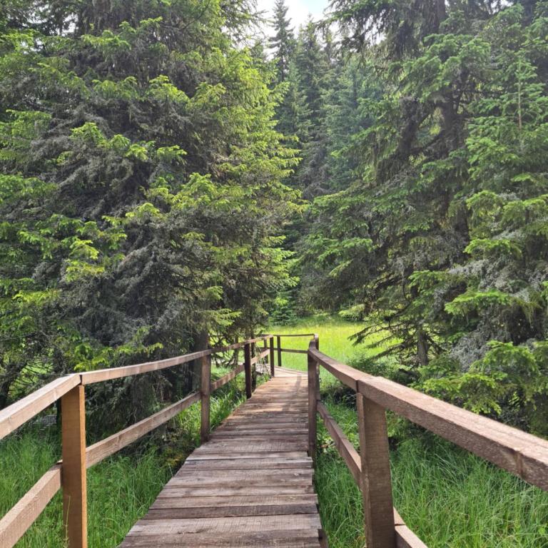 Starloft Kopaonik - Two-Bedroom Apartment - 43