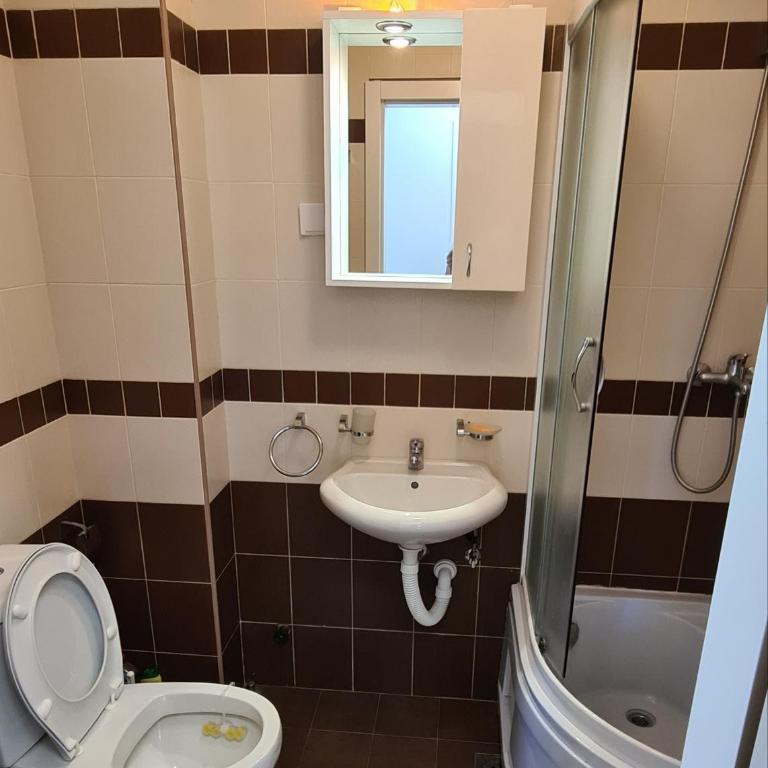 Apartman u Brzecu - Kopaonik - One-Bedroom Apartment - 4