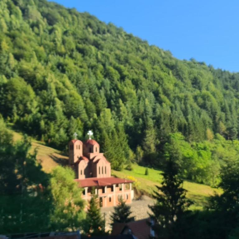 Apartman u Brzecu - Kopaonik - One-Bedroom Apartment - 6