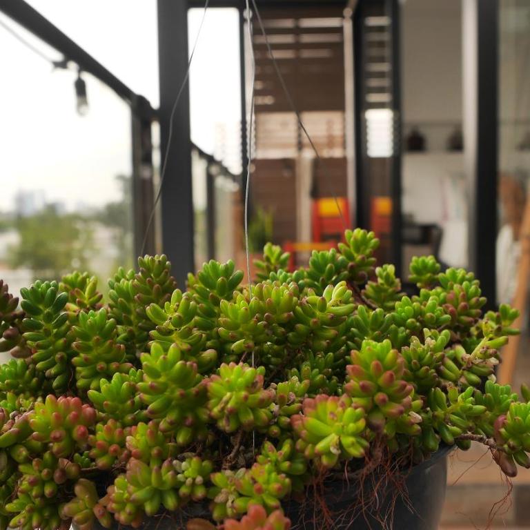 Loft REMEDIOS - penthouse CDMX - áreas comunes compartidas - One-Bedroom Apartment - 5