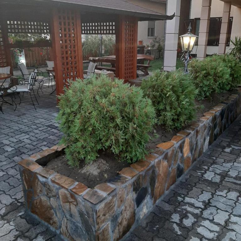 Apartmani Radulović - Apartment with Garden View - 1