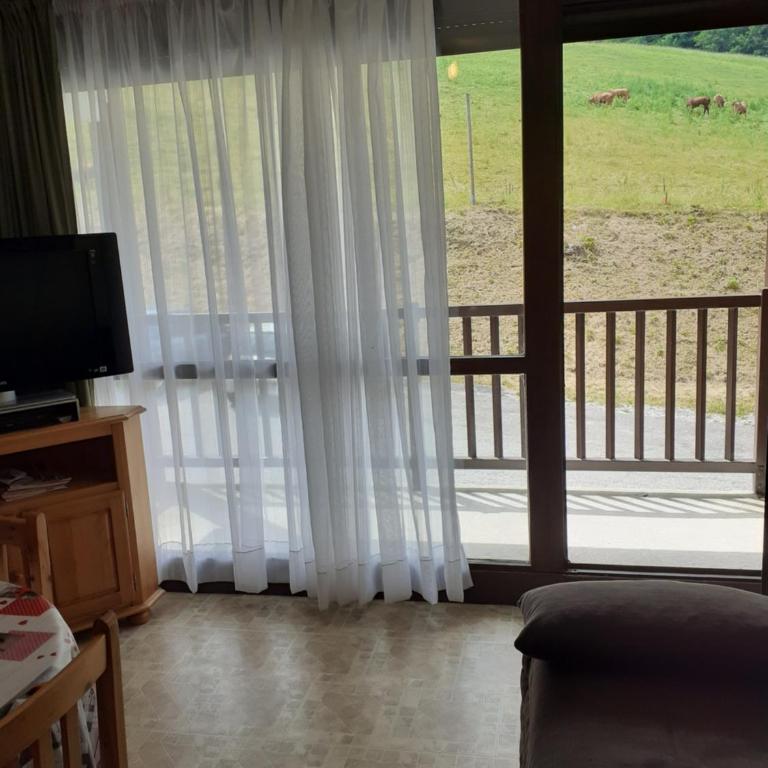 Le rossane - Appartement 1 Chambre - 41