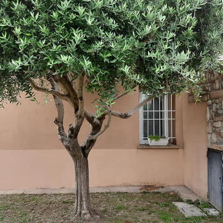 APPARTAMENTO LAKE GARDA ibiscus di Francia - Appartamento con 2 Camere da Letto - 22