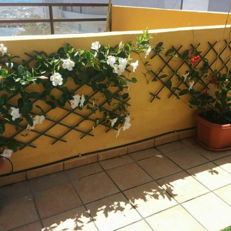 431 - Edif Aguamarina - Vacation Rental Home in the coast line of Golf del Sur - Apartamento de 1 dormitorio - 21