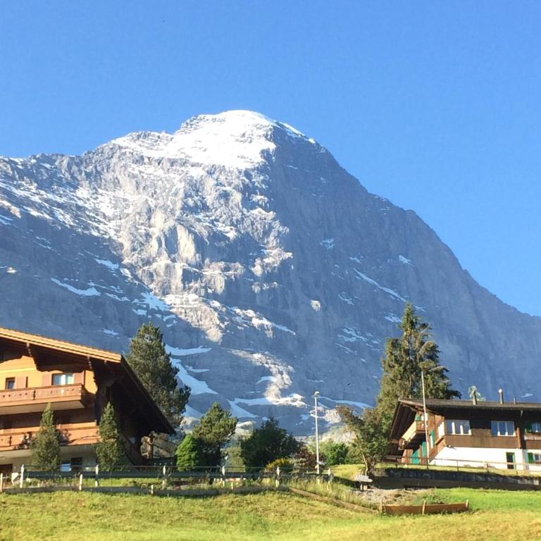 Mönch Amazing Apartment Grindelwald - Apartment mit 2 Schlafzimmern - 8