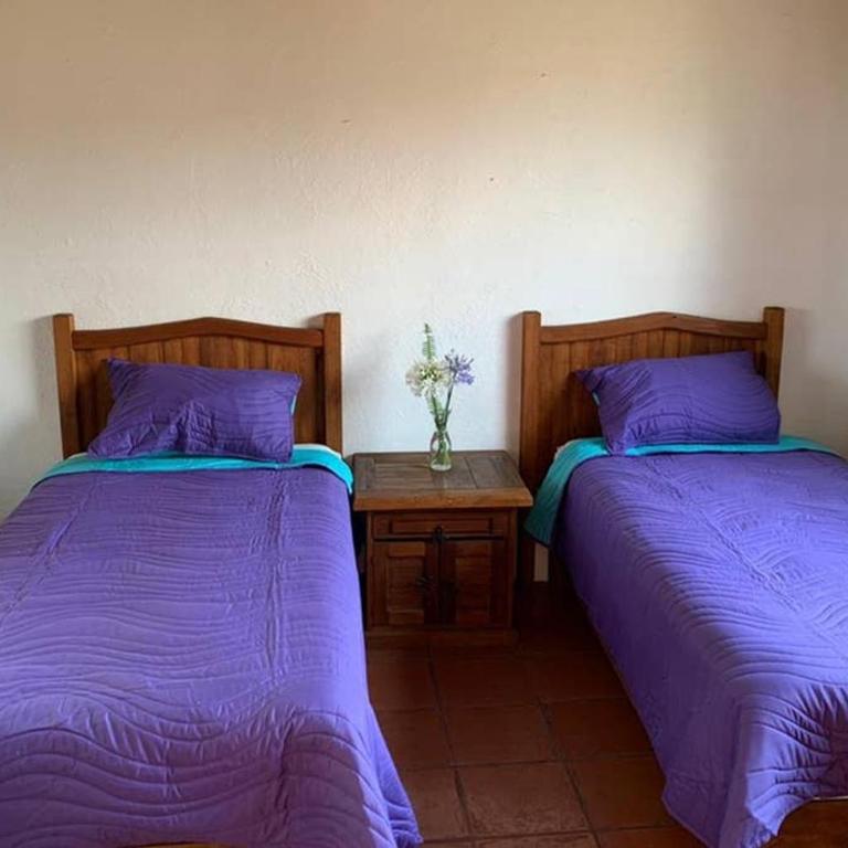 Casa BamBú VdB - Three-Bedroom House - 33