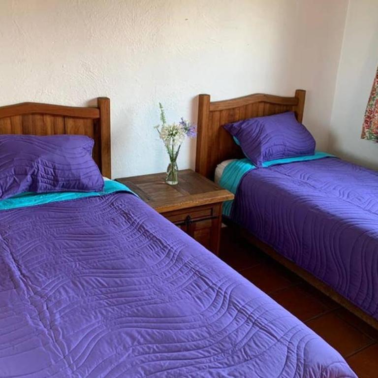 Casa BamBú VdB - Three-Bedroom House - 35
