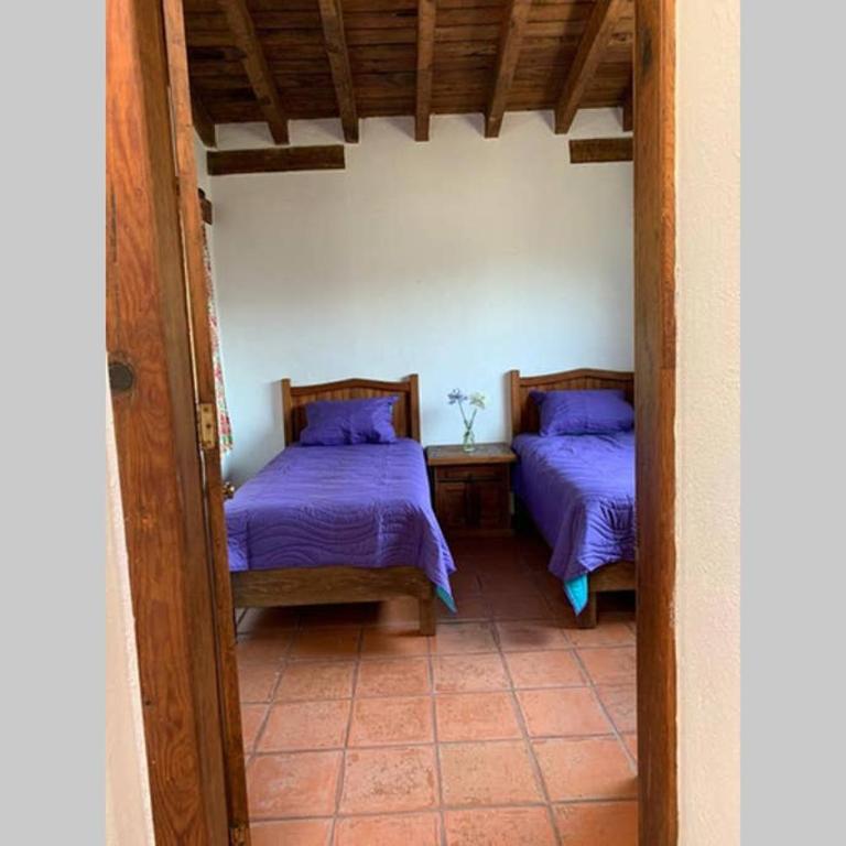 Casa BamBú VdB - Three-Bedroom House - 31