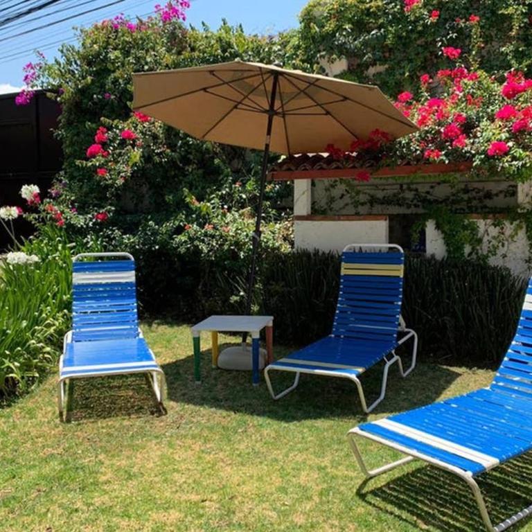 Casa BamBú VdB - Three-Bedroom House - 6