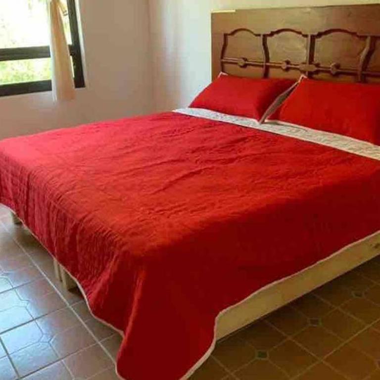Casa BamBú VdB - Three-Bedroom House - 54